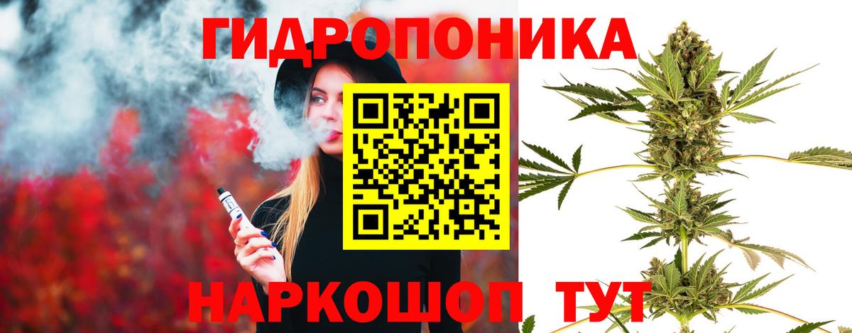 Марихуана сатива Майский